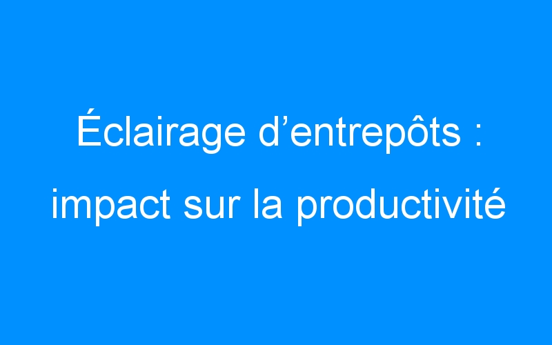 You are currently viewing Éclairage d’entrepôts : impact sur la productivité