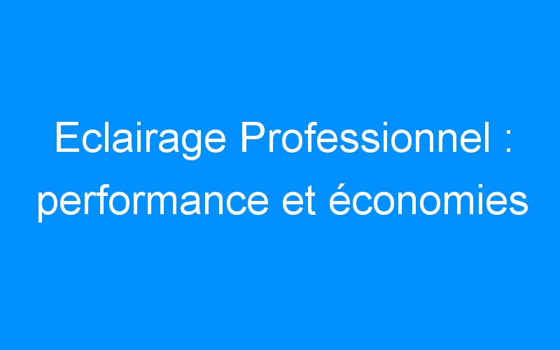 You are currently viewing Eclairage Professionnel : performance et économies