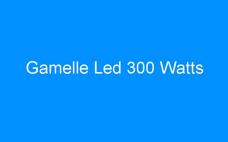 You are currently viewing Gamelle Led 300 Watts