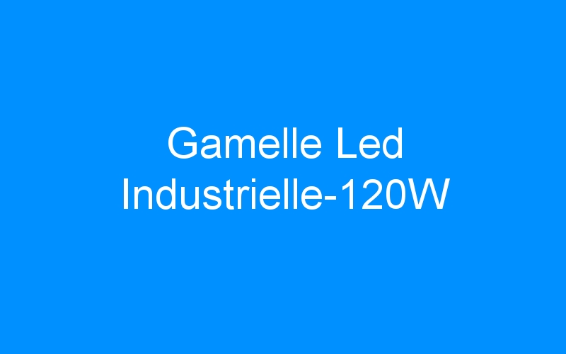 You are currently viewing Gamelle Led Industrielle-120W