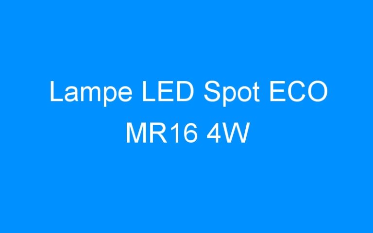 Lire la suite à propos de l’article Lampe LED Spot ECO MR16 4W