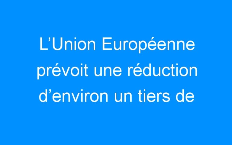 L’Union Européenne prévoit une réduction d’environ un tiers de sa consommation d’énergie d’ici 2030