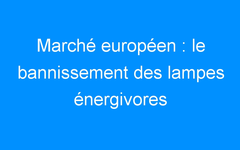 Lire la suite à propos de l’article Marché européen : le bannissement des lampes énergivores