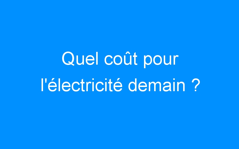 You are currently viewing Quel coût pour l’électricité demain ?
