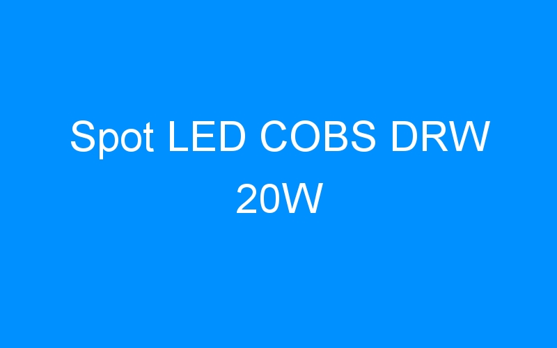 Lire la suite à propos de l’article Spot LED COBS DRW 20W