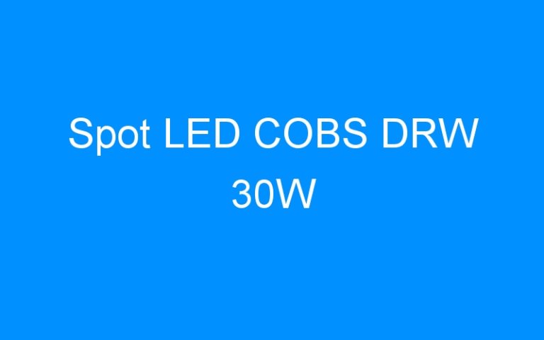 Lire la suite à propos de l’article Spot LED COBS DRW 30W